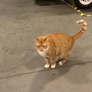 Meet your Posher, Benjamin